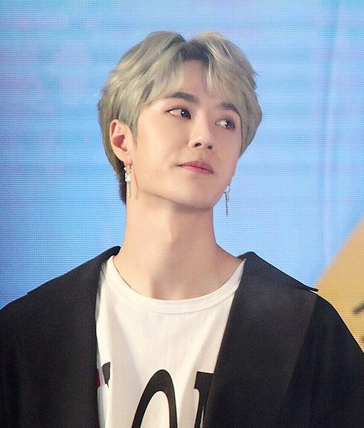 Wang Yibo’s astrology forecast, horoscope and kundli Wang Yibo